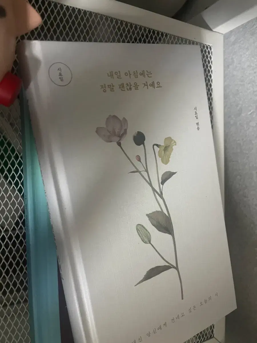 내일 아침에는 정말로 괜찮을거예요 시요일